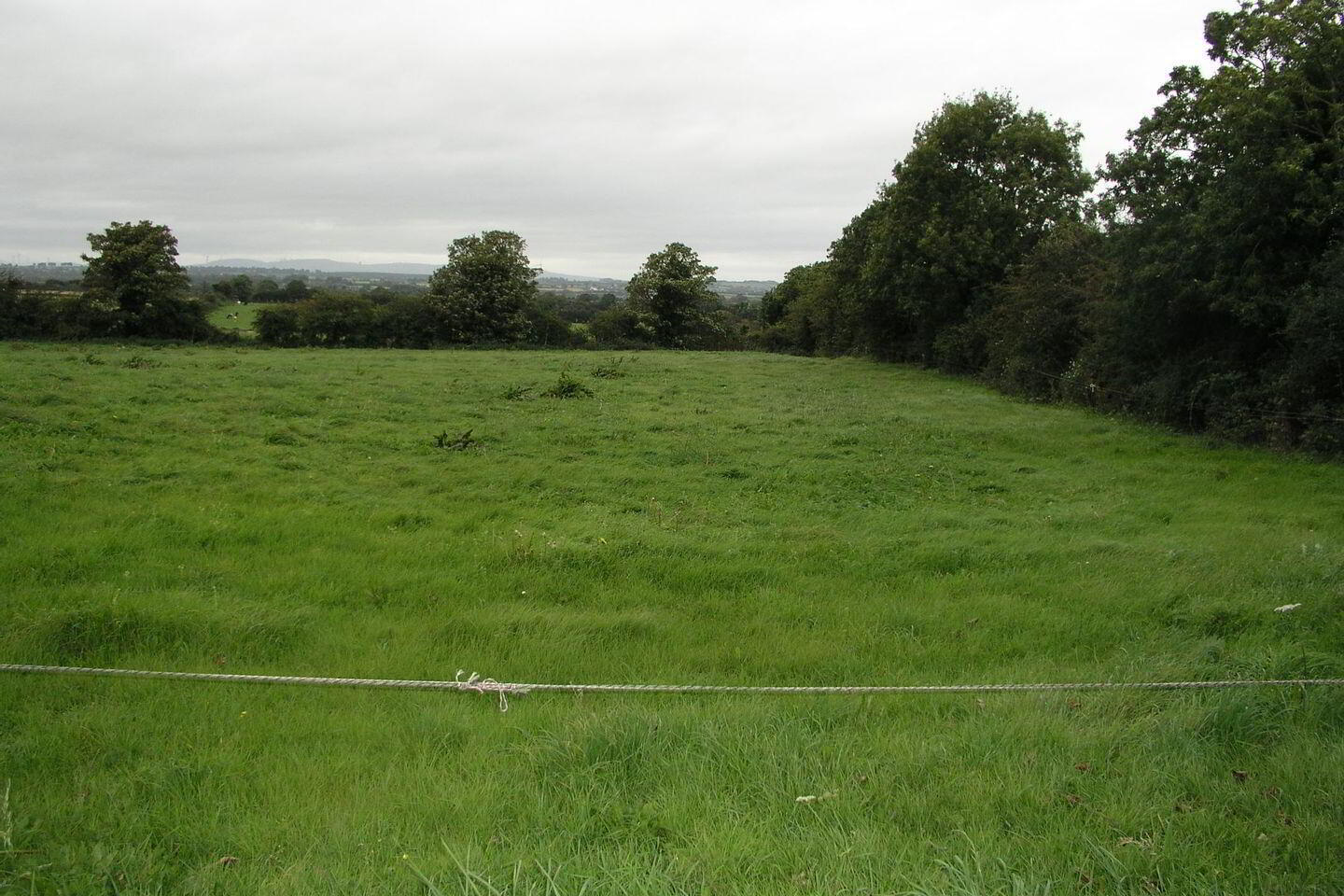 Ballyspellan 2 of 3