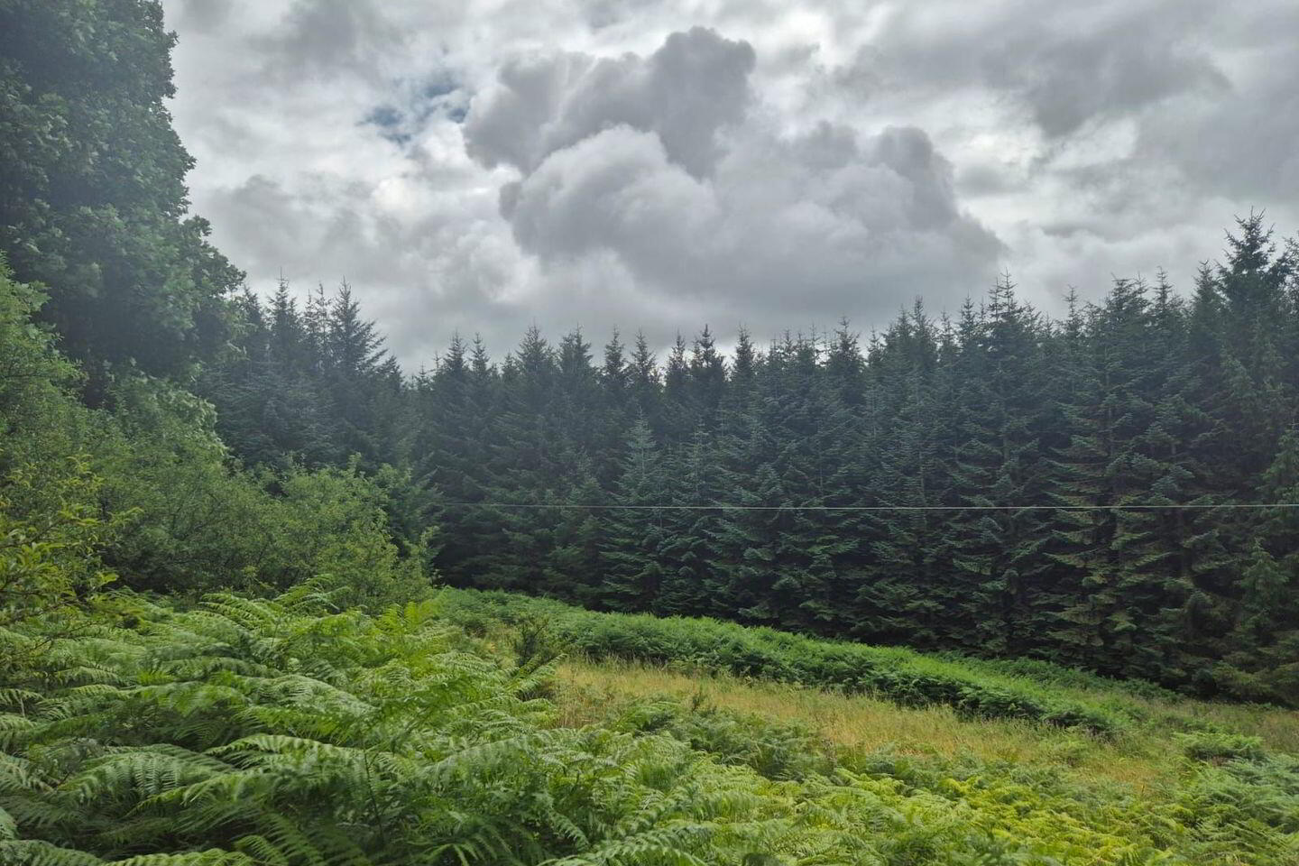 Scurlocksleap 6 of 6