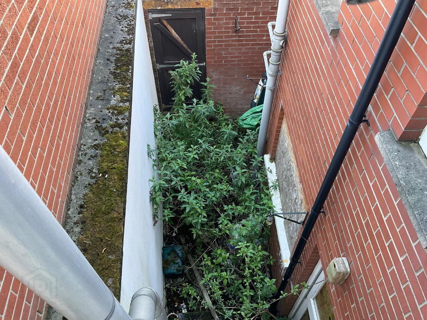 52 Tennent Street 10 of 10