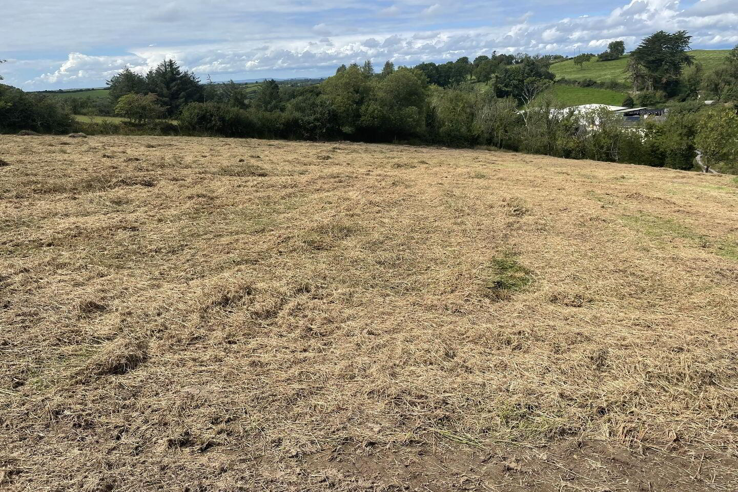 Ballymacdonell 10 of 11