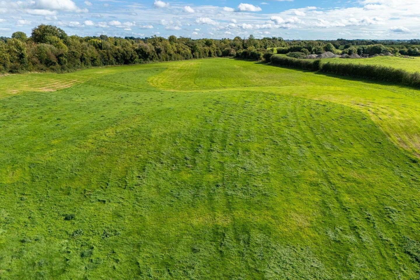 Bracklin Little 14 of 14