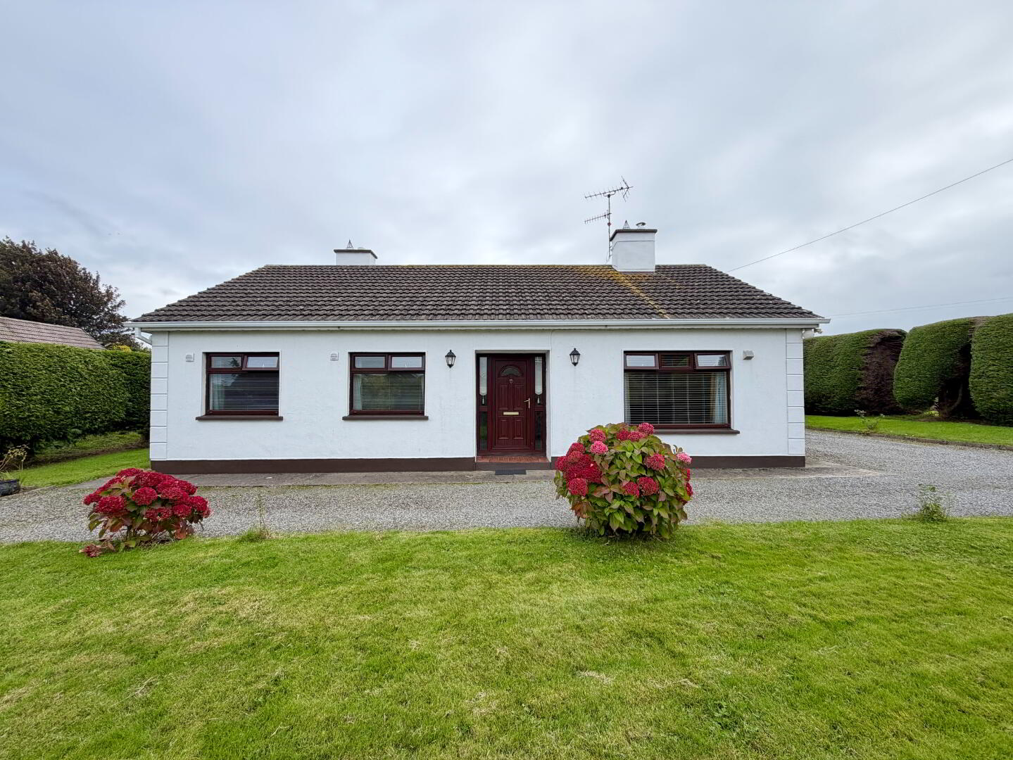 Hilltop Ardee 1 of 23