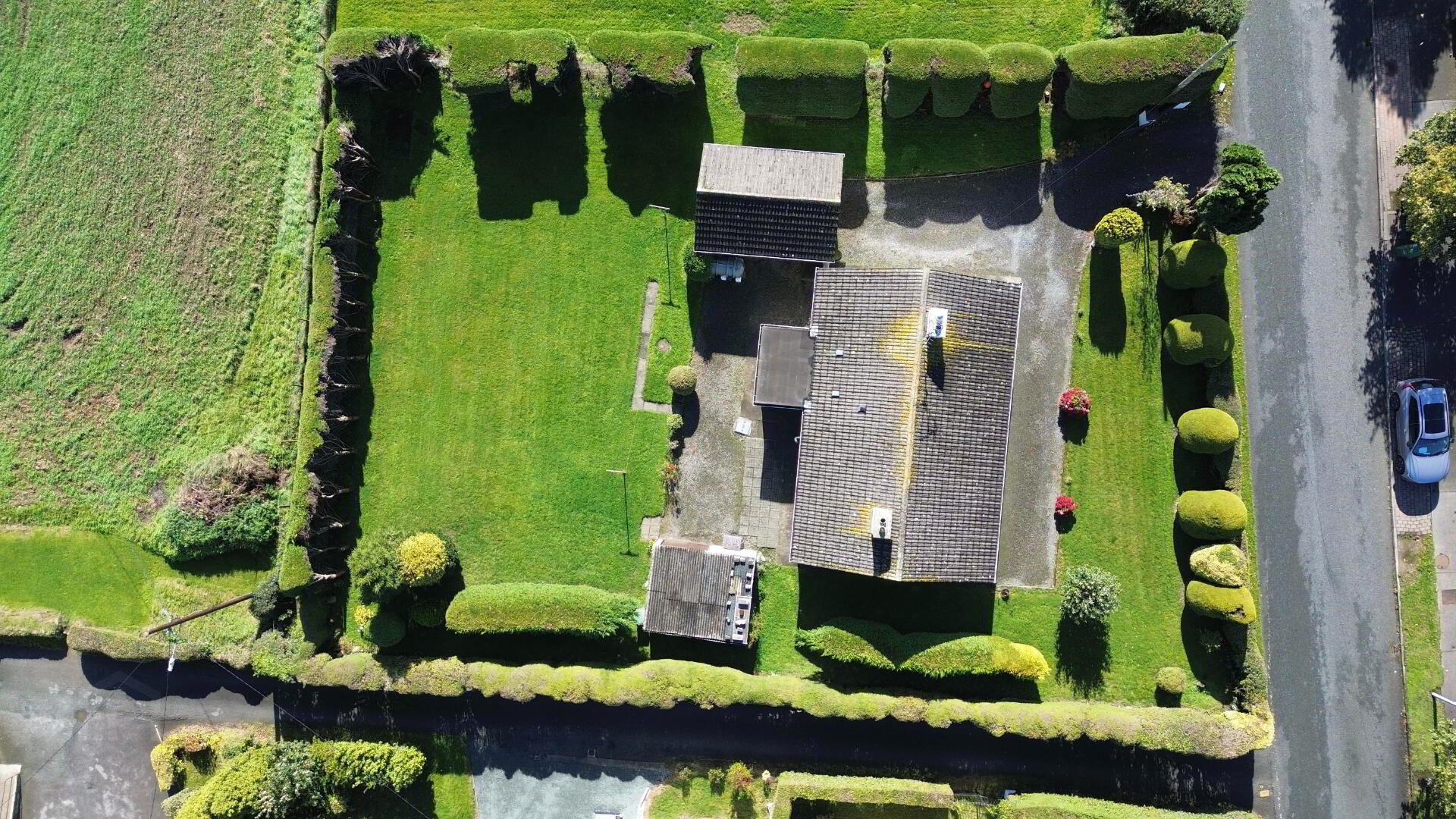 Hilltop Ardee 23 of 24