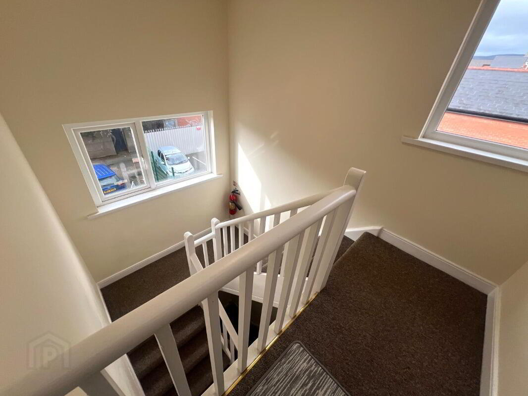Apt 3, 73 Eglantine Avenue 3 of 9