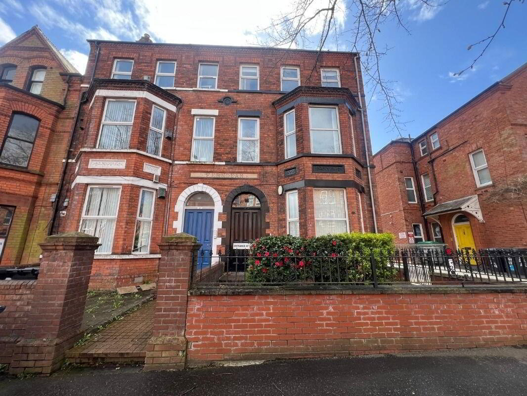 Apt 3, 73 Eglantine Avenue 2 of 9