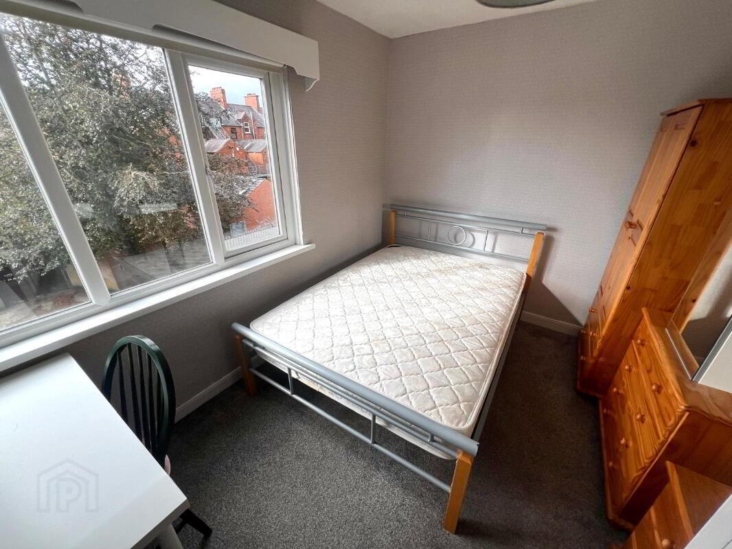 Apt 3, 73 Eglantine Avenue 8 of 9
