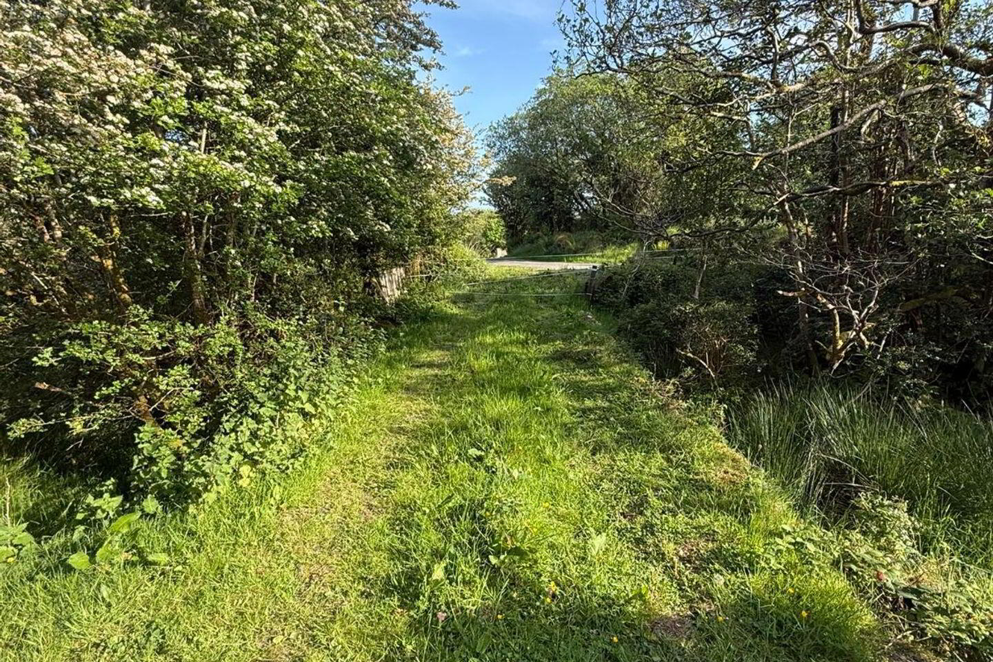 Tullyard 7 of 8