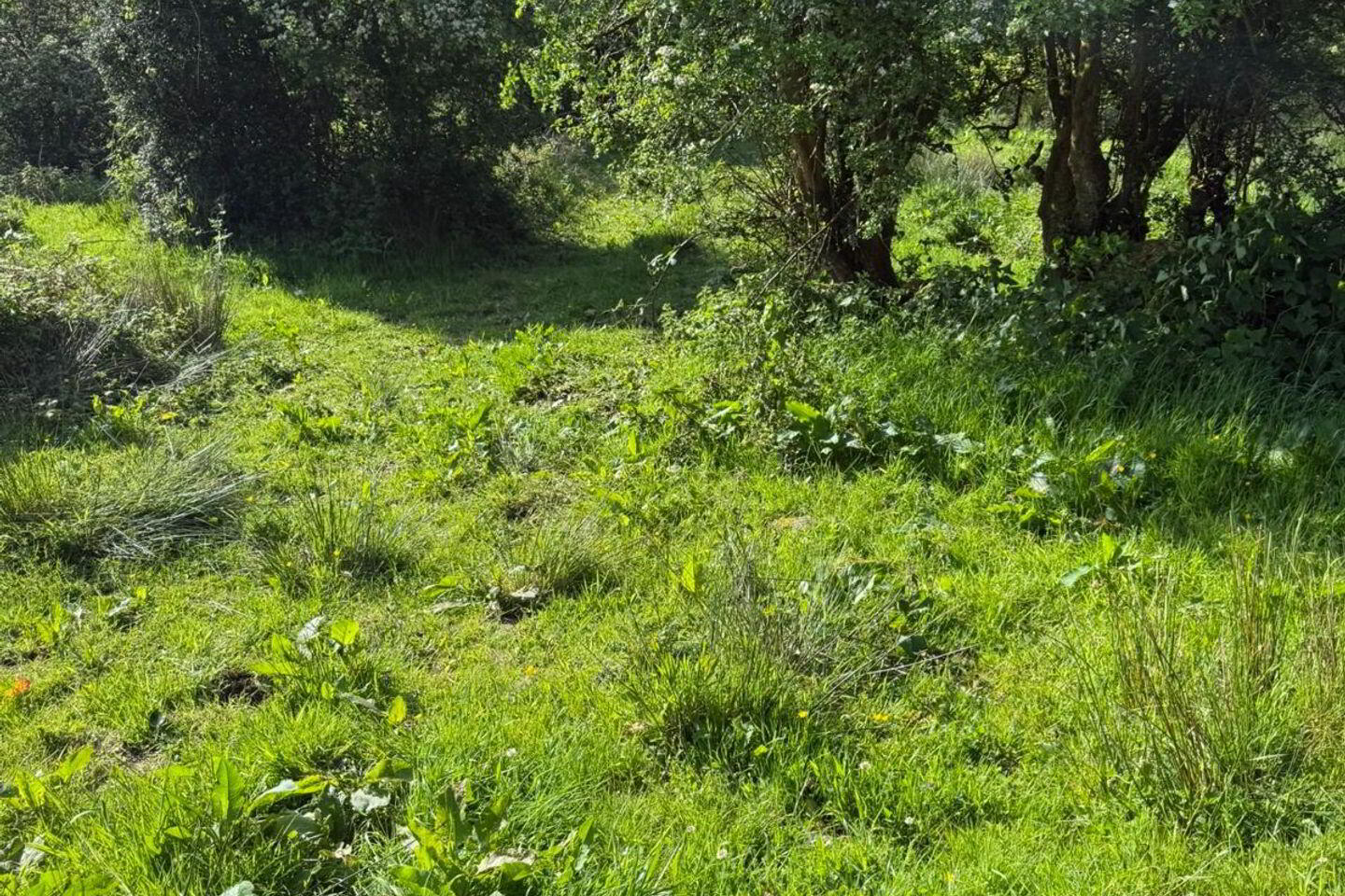 Tullyard 8 of 8