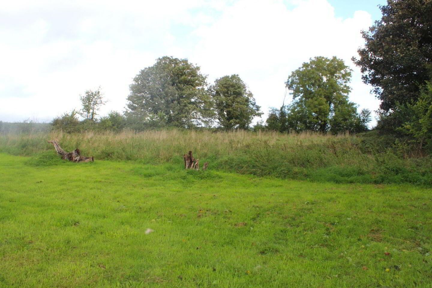 Ballinamona 19 of 20
