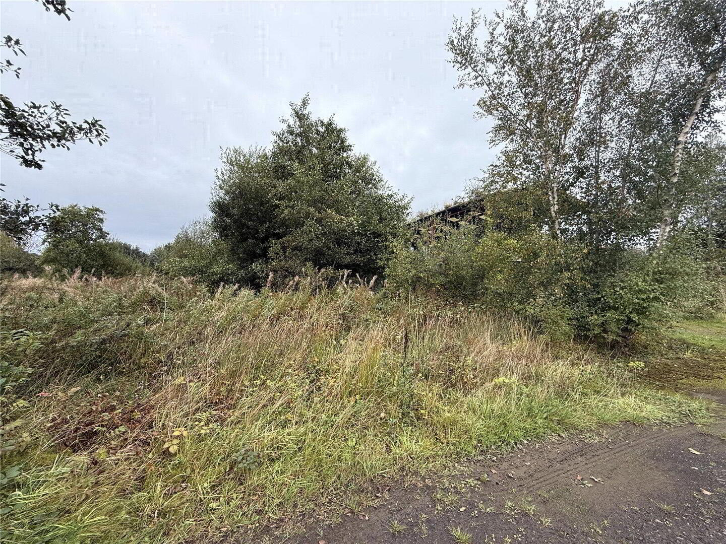 Site Approx 0.5 Acre, Rear Of 21, Blackpark Road 6 of 7