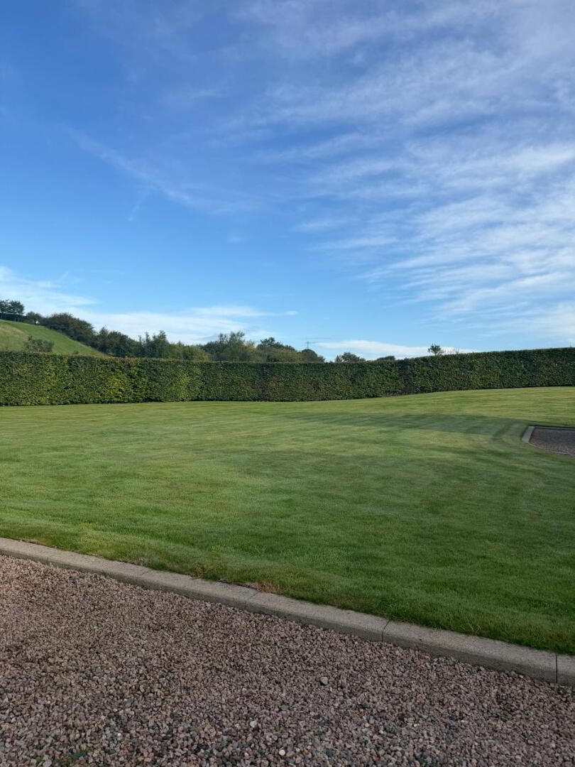 79D Old Ballynahinch Road 10 of 10