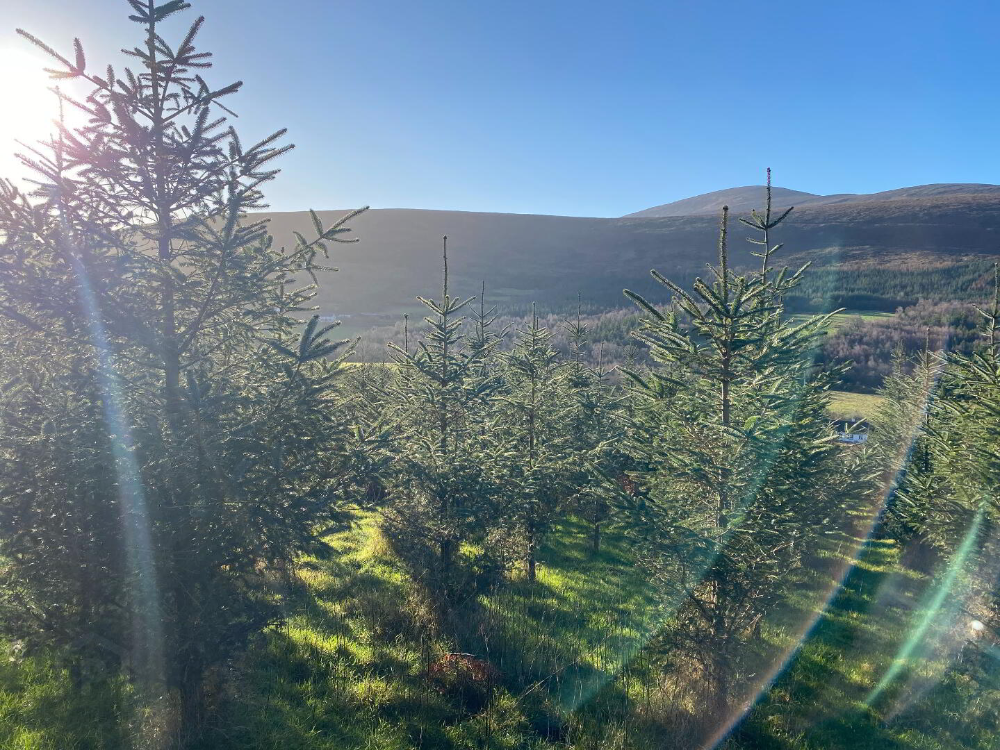 Knockroe 3 of 3