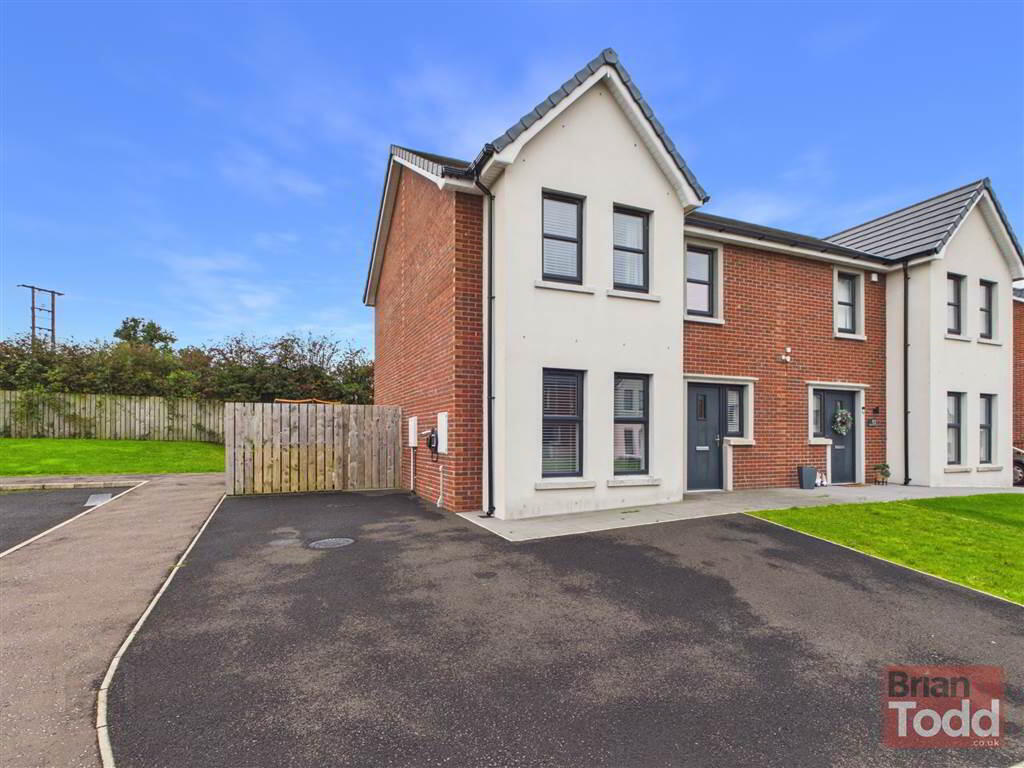 Blackthorn Rise 1 of 18