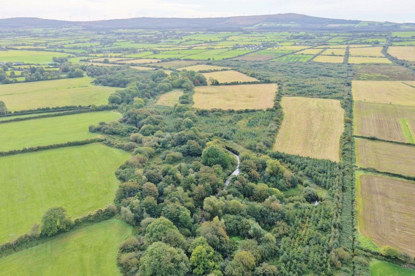 Farran 19 of 20