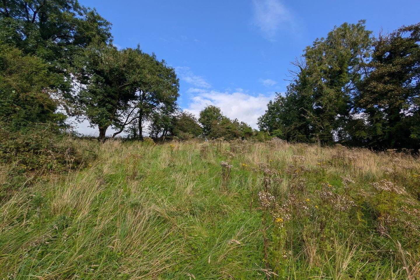 Carrowreagh 8 of 9