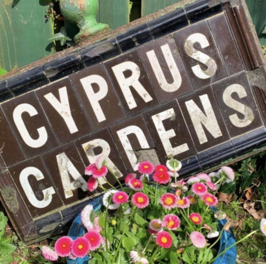 6 Cyprus Gardens 40 of 41