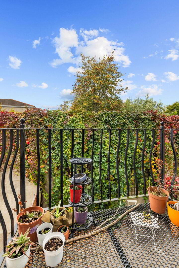 6 Roseville Court 11 of 12