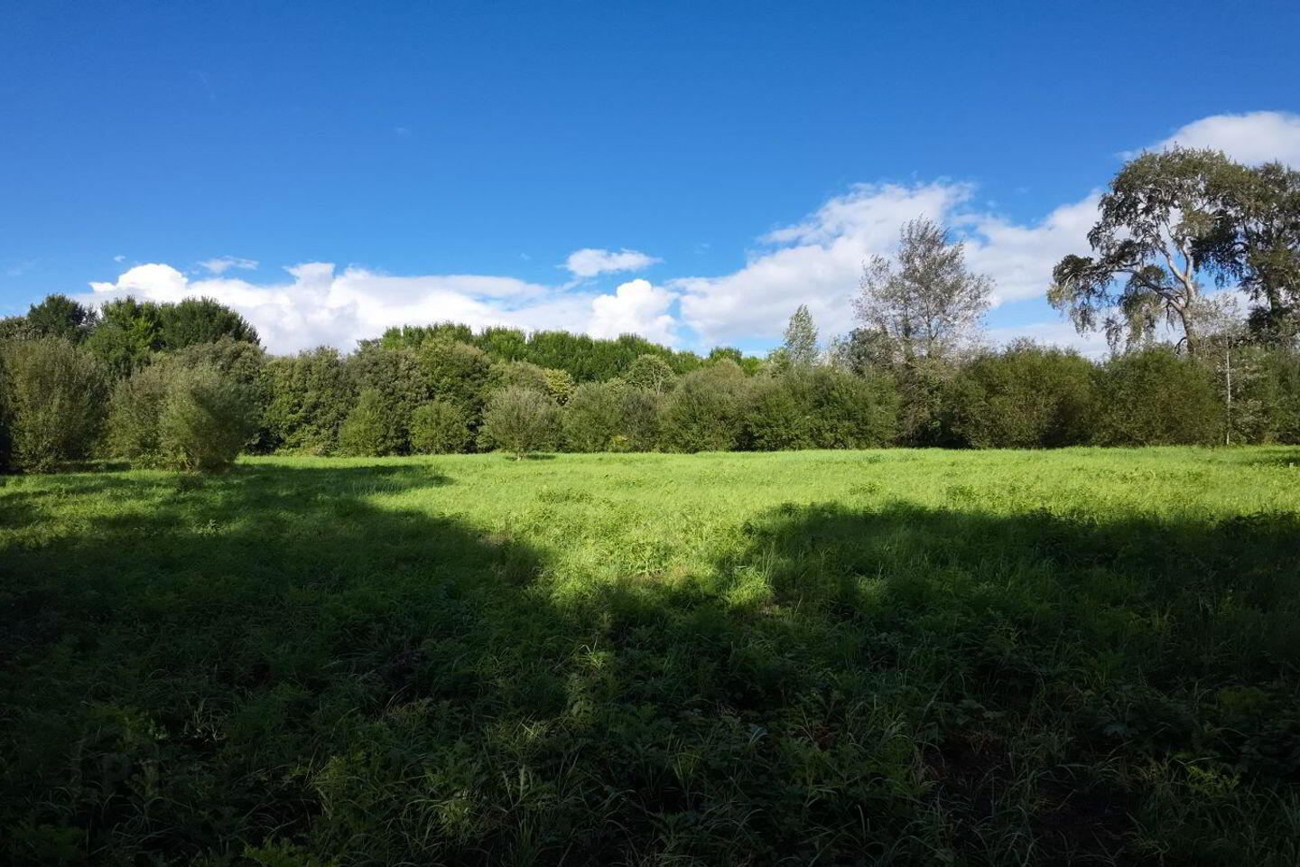 Adare 3 of 5