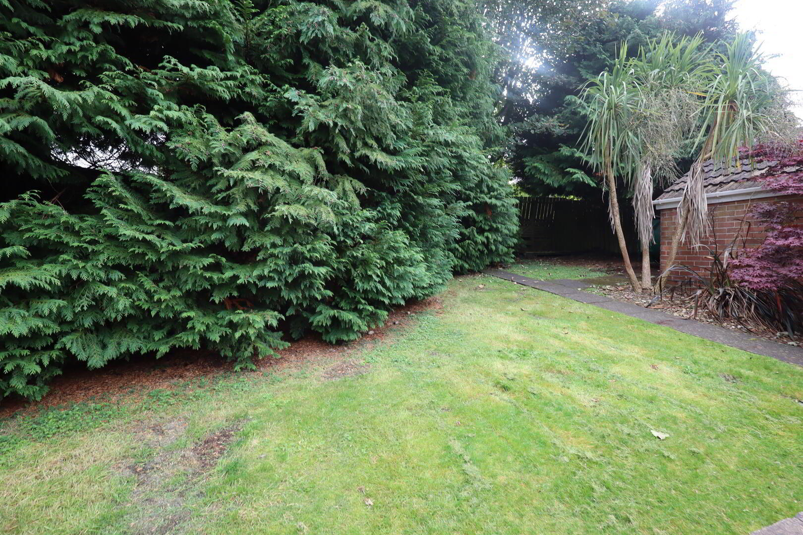 29 Wynnland Avenue 17 of 18