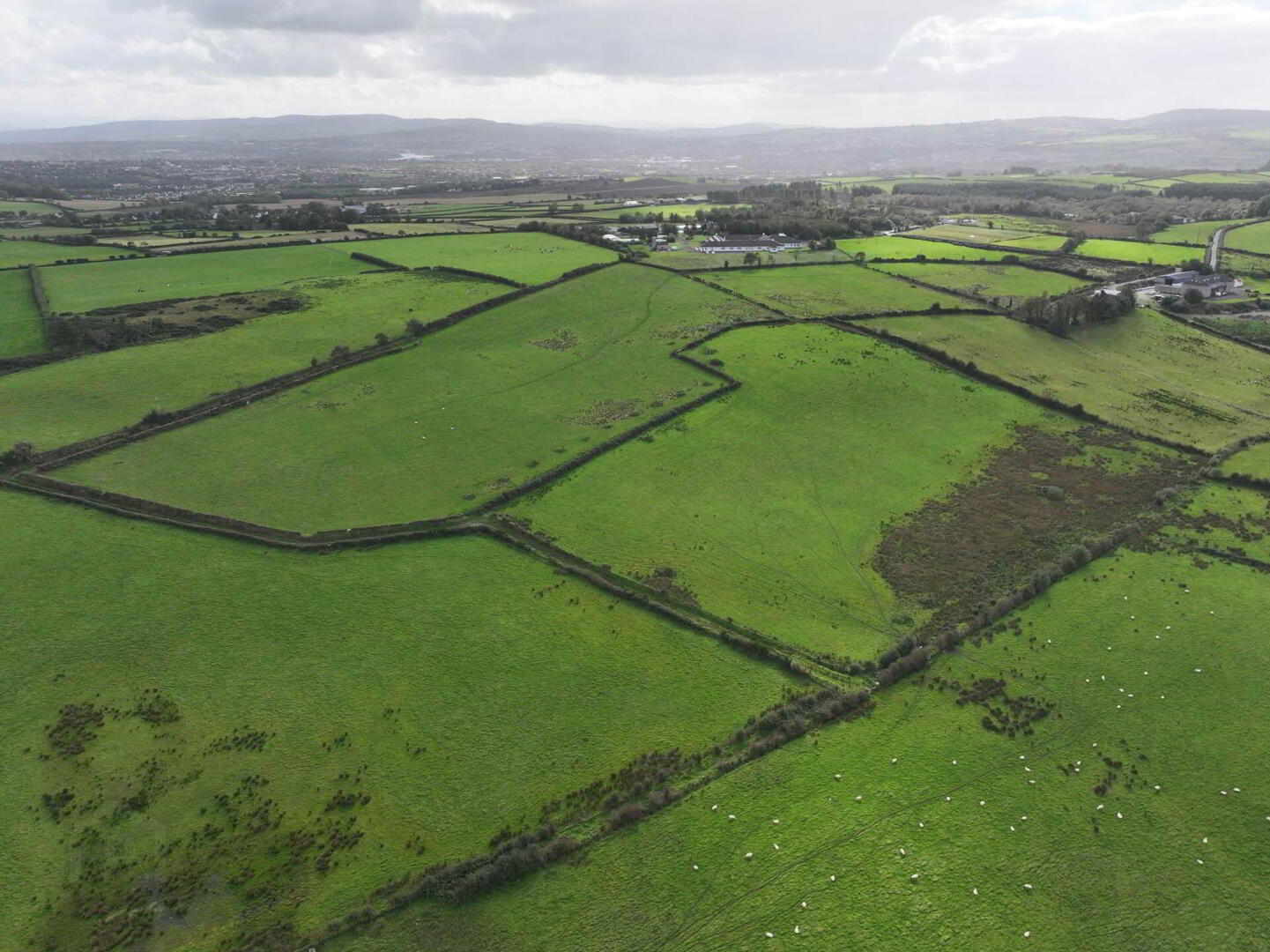 Derryvane 23 of 24