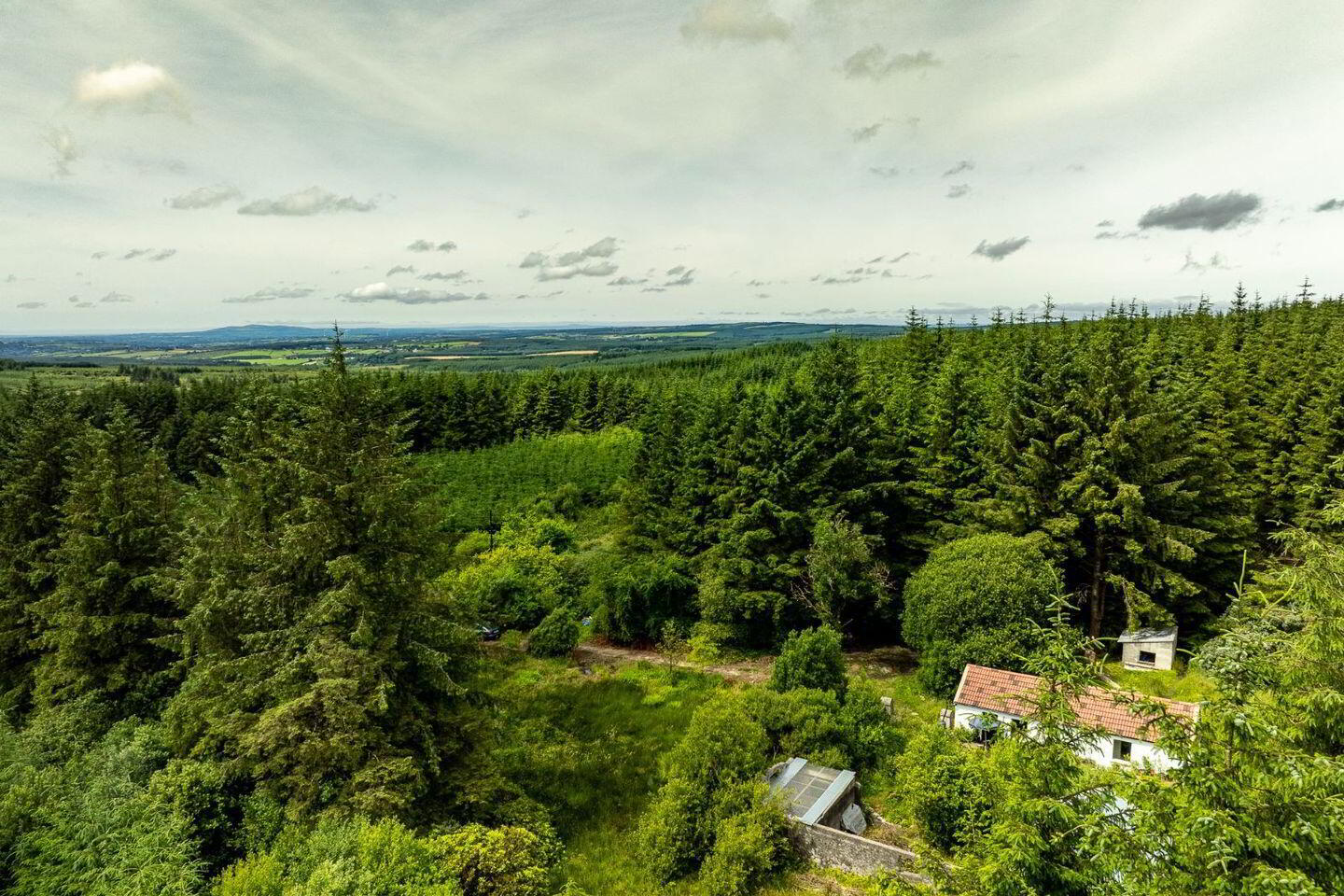 Rooskagh 24 of 25