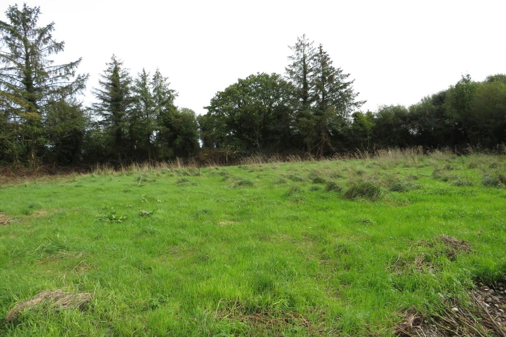 Thomastown 3 of 3