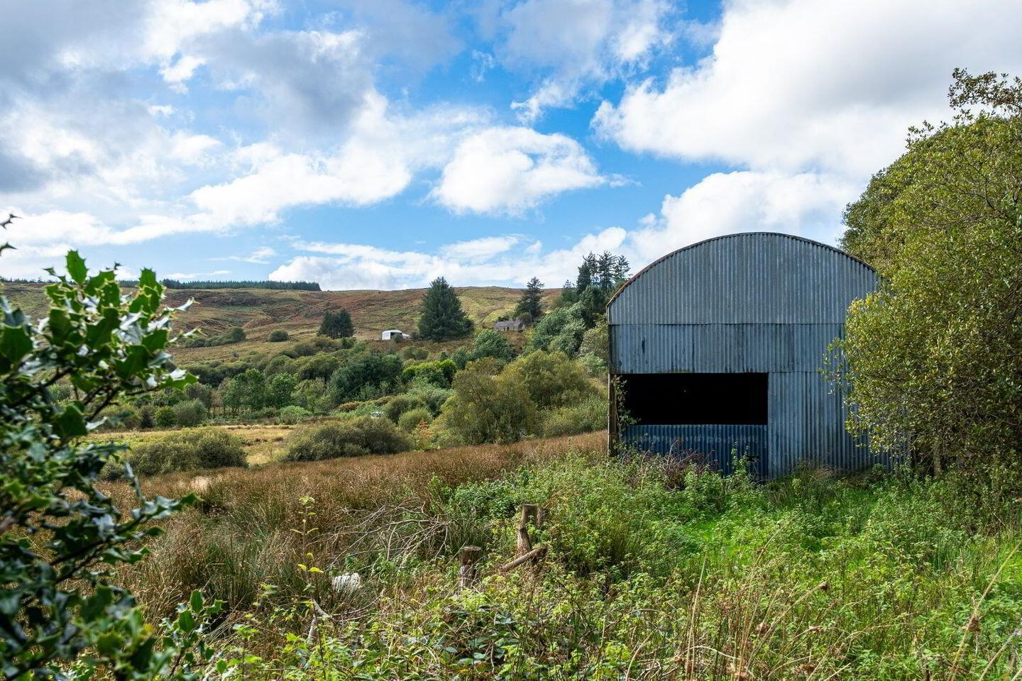 Lands, Co. Leitrim 24 of 25
