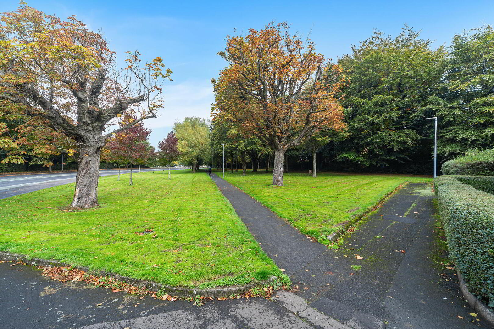 2 Annadale Terrace 22 of 22
