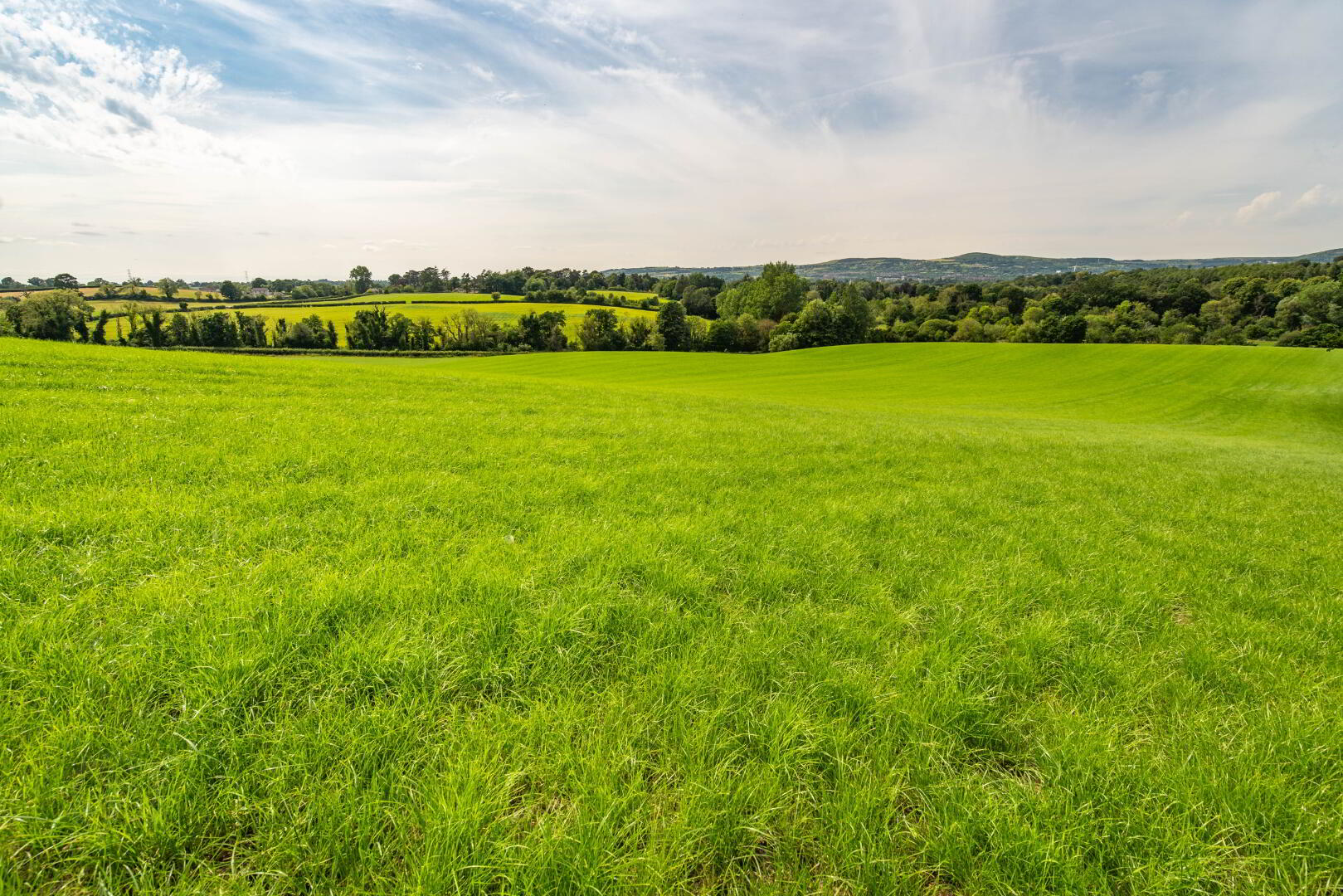 Lot 6, Eastern Land At Ballyowan 2 of 3