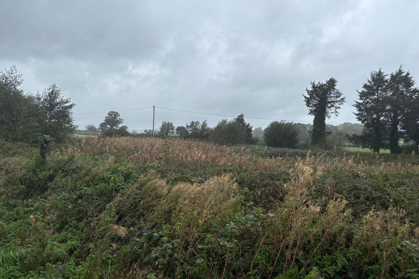 0.96 Acre Site 2 of 4