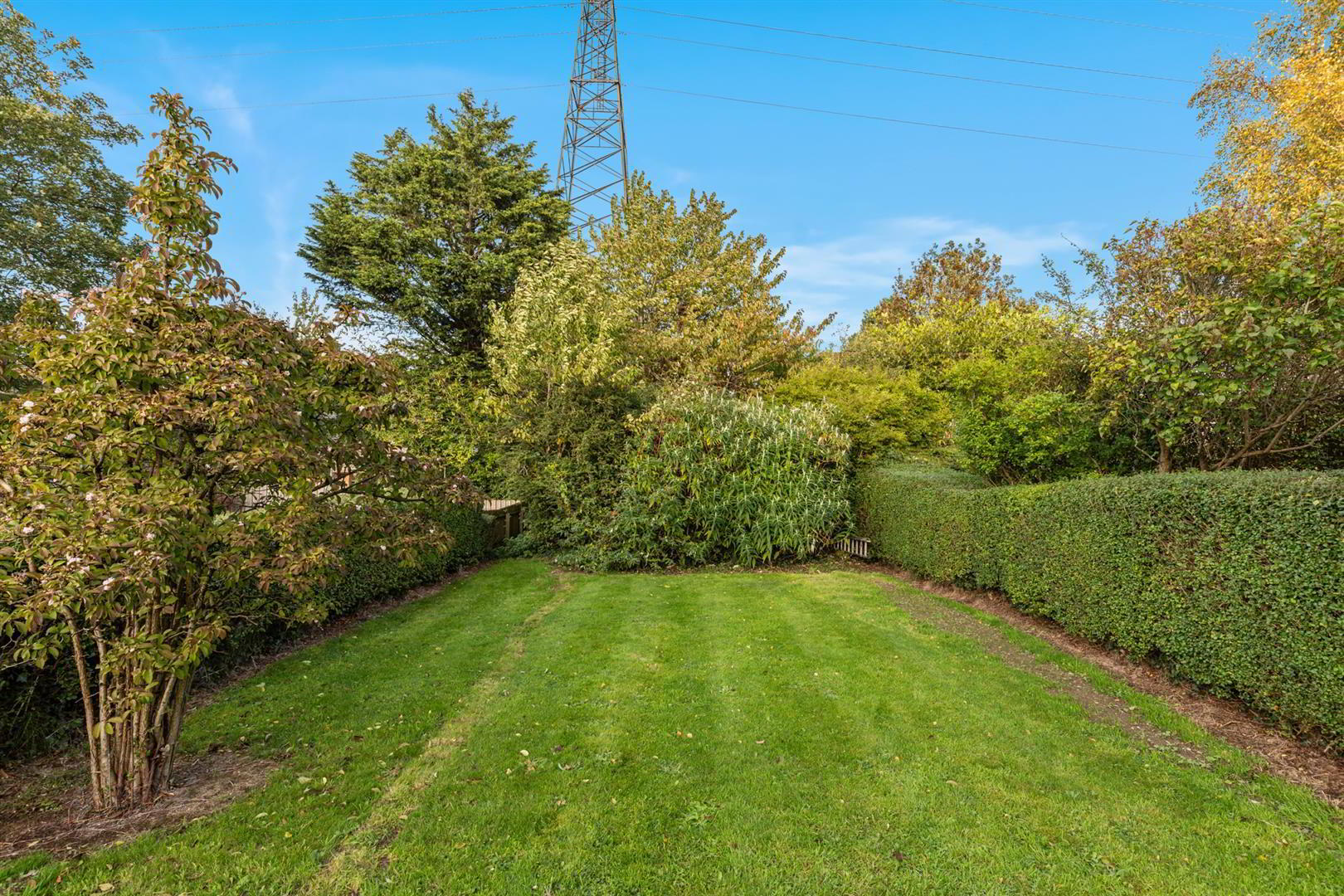 180 Orby Drive 37 of 38