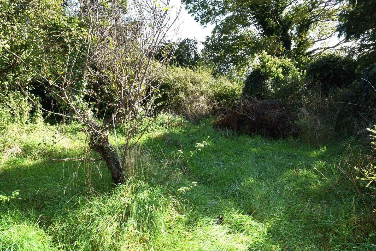 'Reek View', Ballygaddy Road 37 of 38