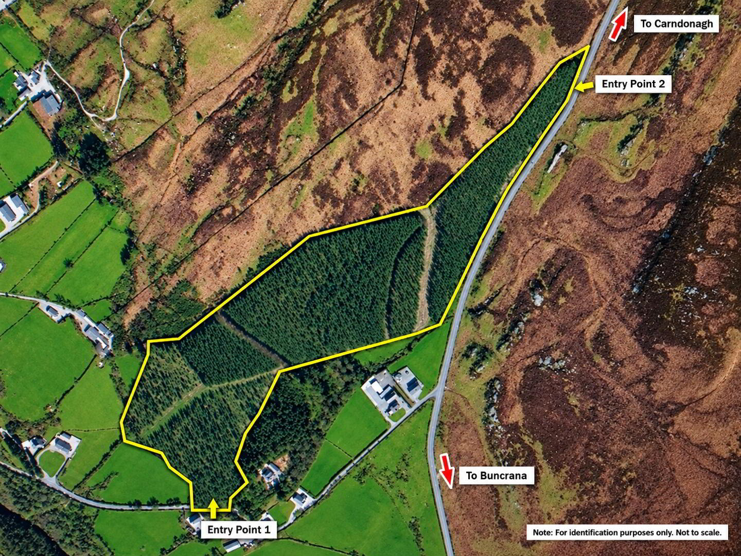 Ballinlough 1 of 6