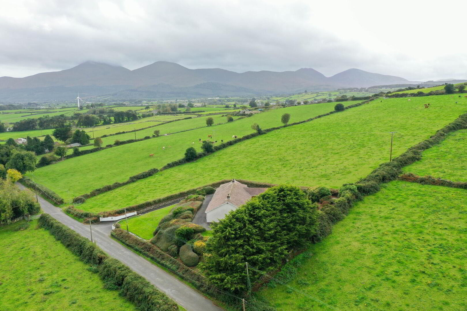 29 Dundrinne Road 3 of 44