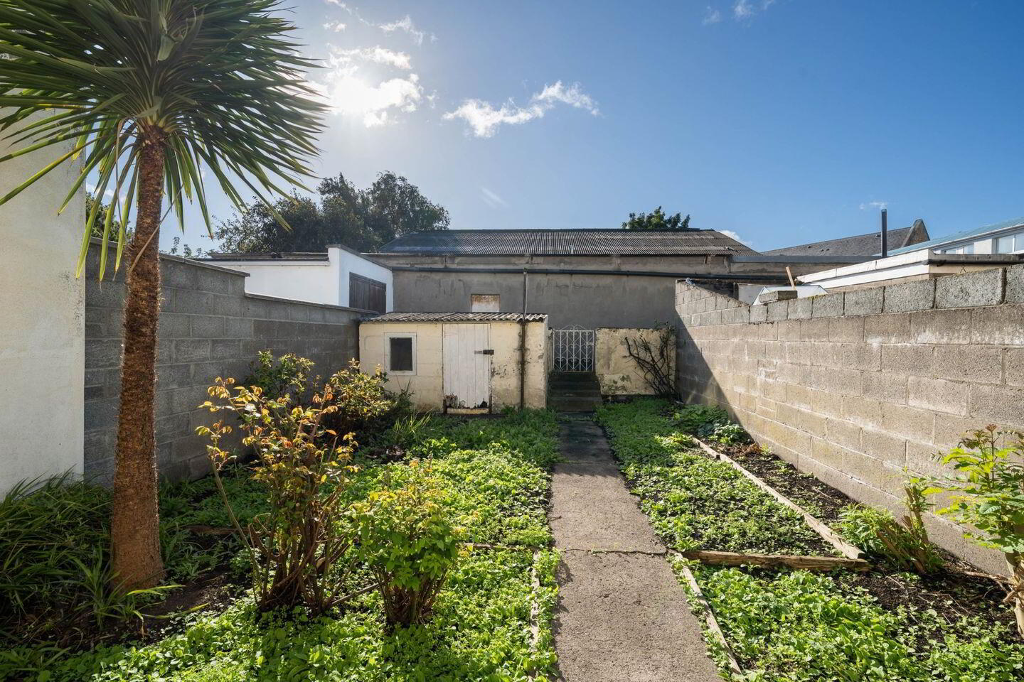 29 Bath Avenue 11 of 12
