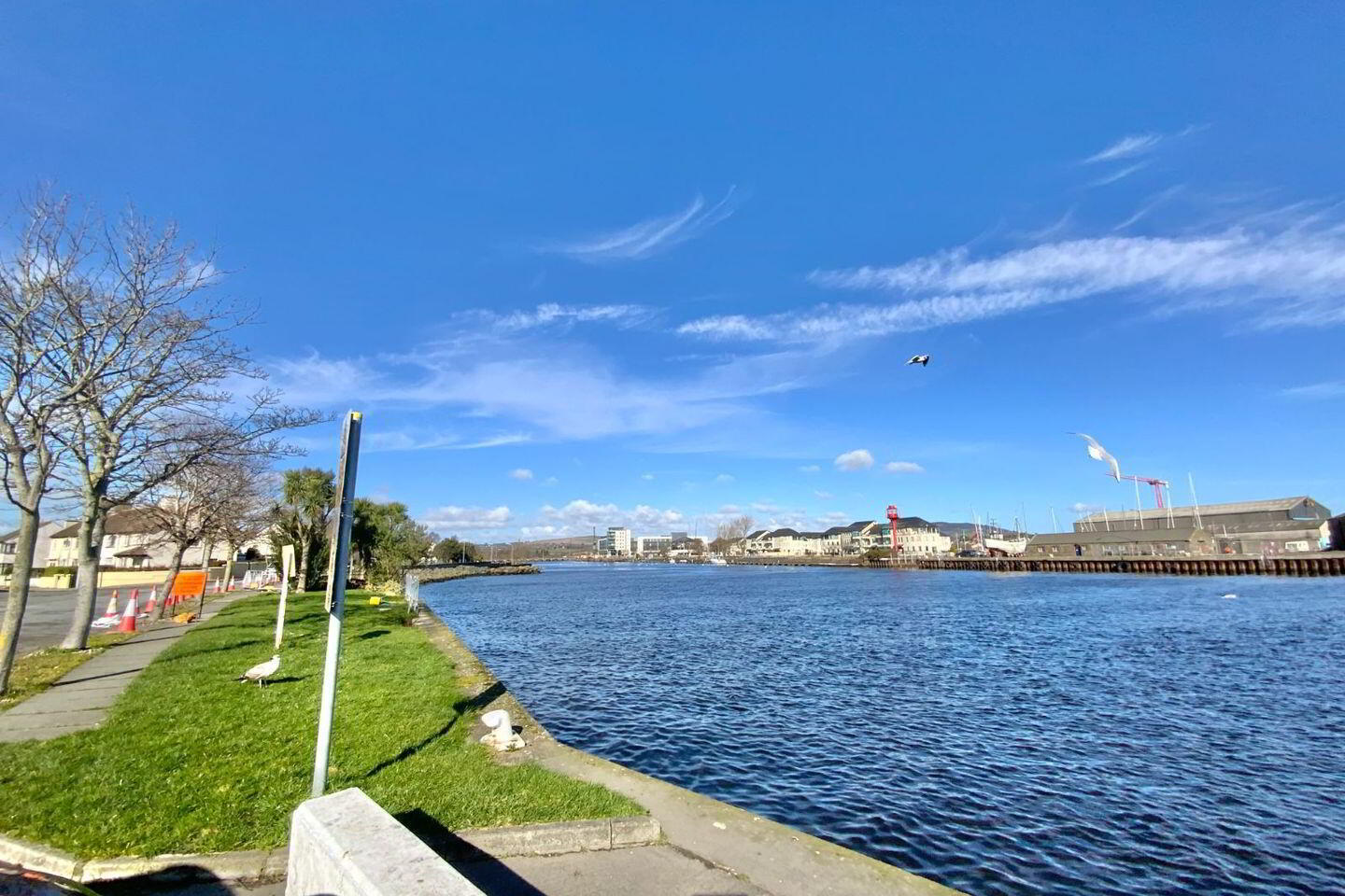 14c Harbour Road 17 of 17