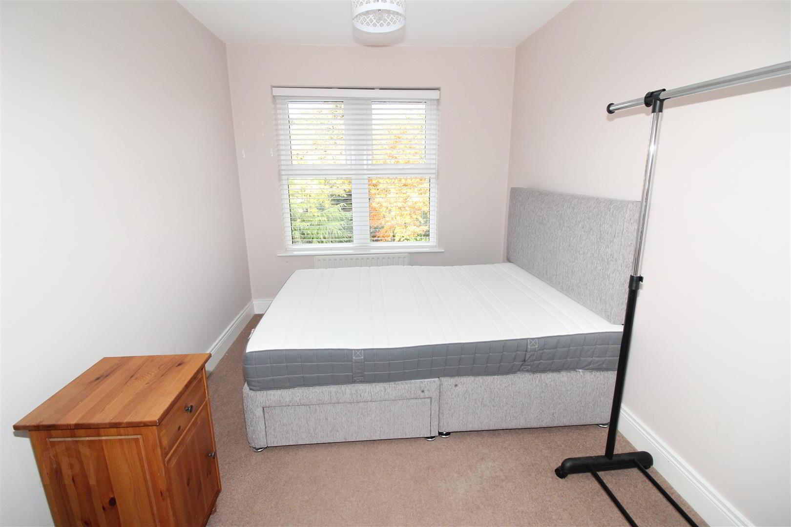 Apt 5, 18a Annadale Avenue 14 of 15