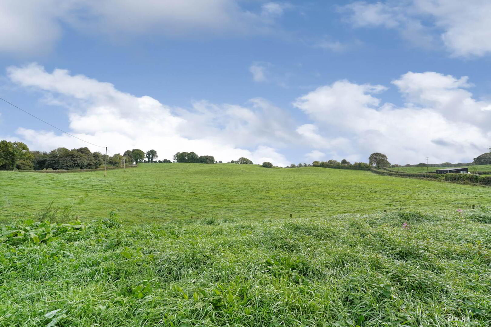 Ballinacor 27 of 28