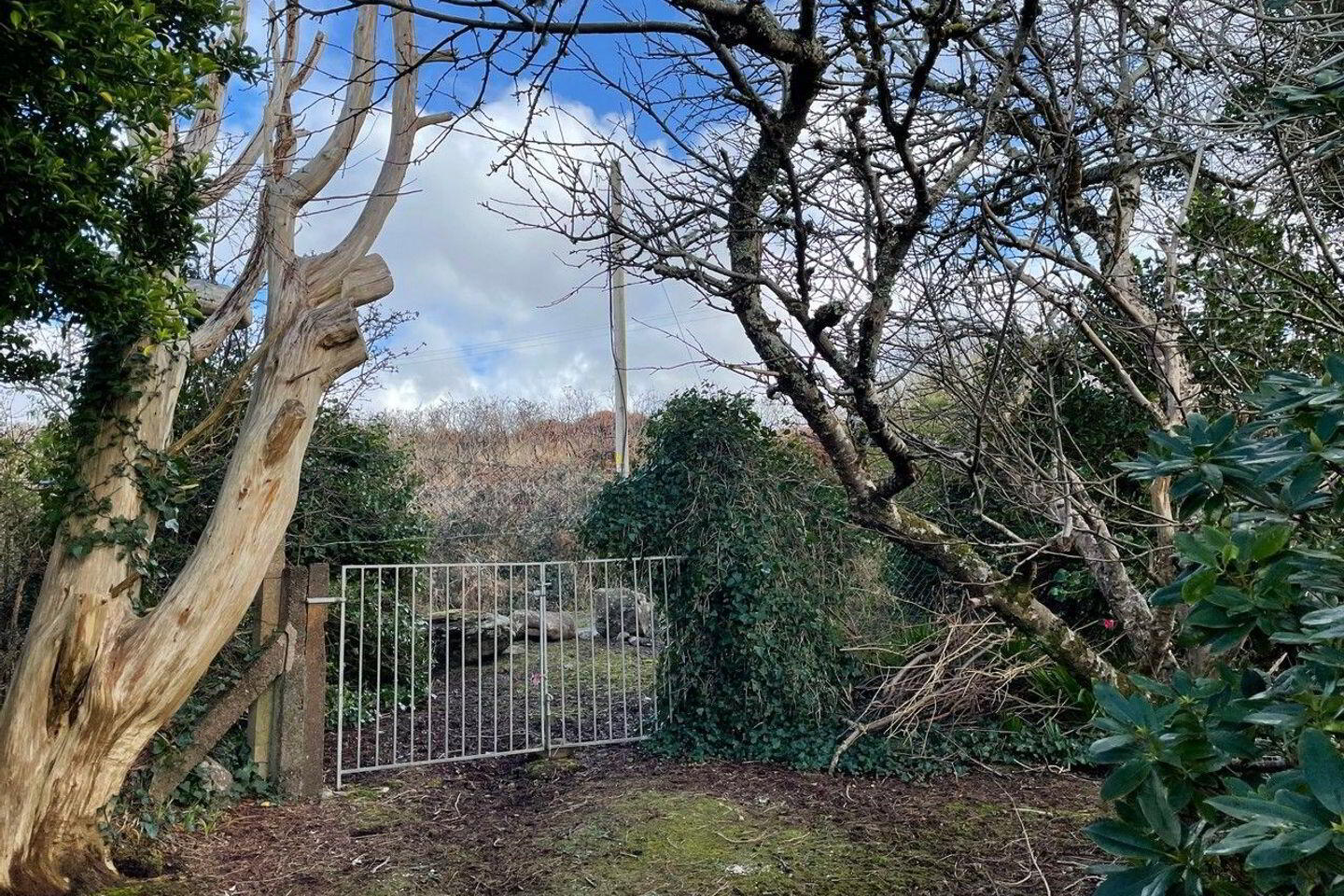 1 Saint Finian's Terrace 3 of 30