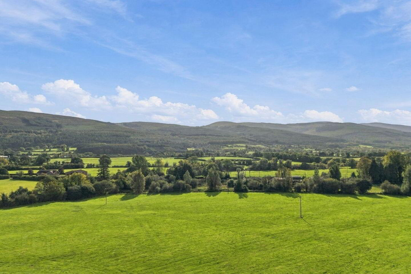 Ballymorris 26 of 27