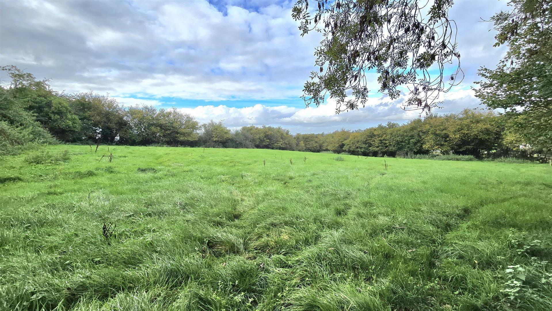 Land At, Ballycreggy Road 6 of 7