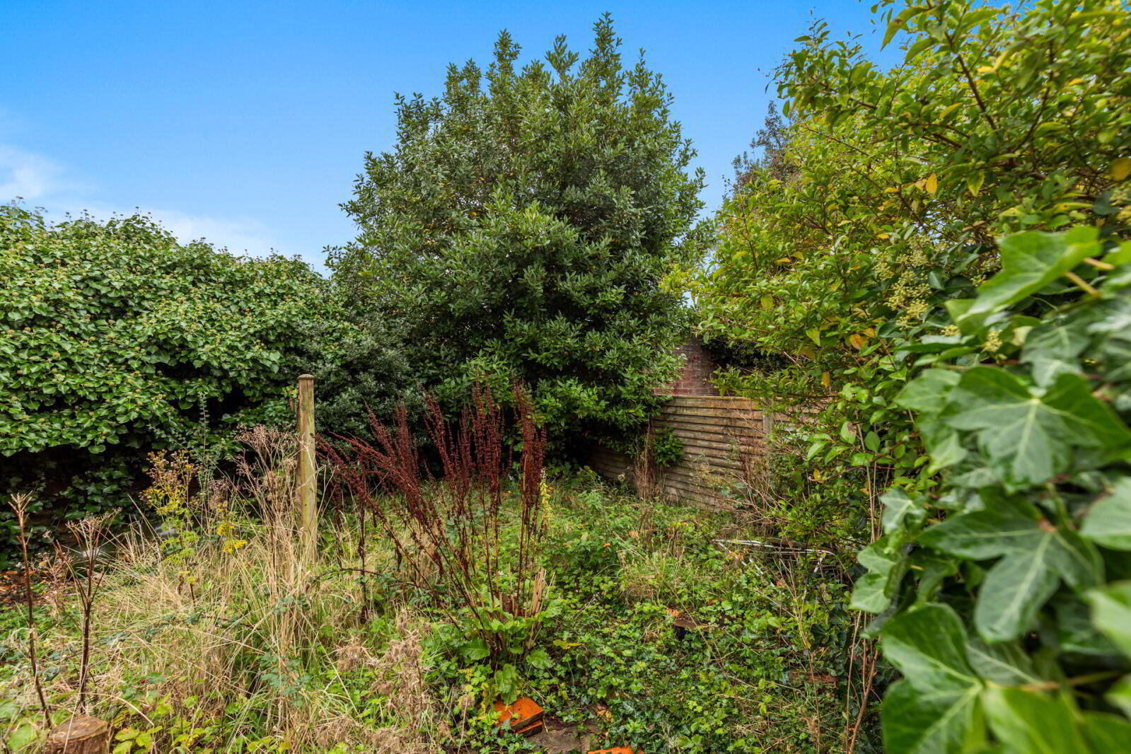 11 Willowfield Gardens 15 of 16