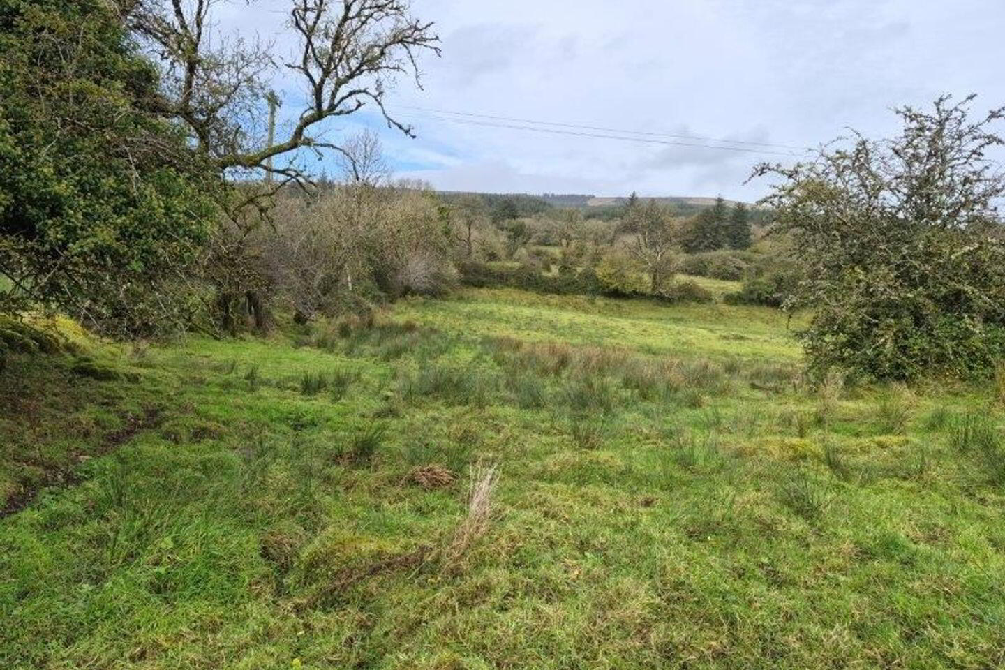 Lisinagroagh 24 of 25