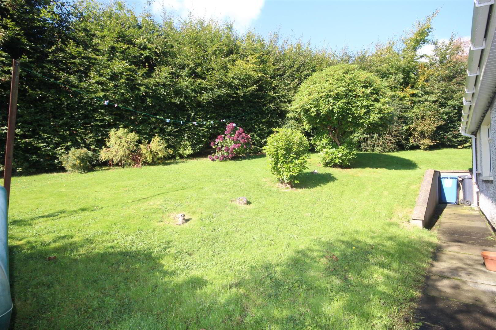 6 Iveagh Park 12 of 13