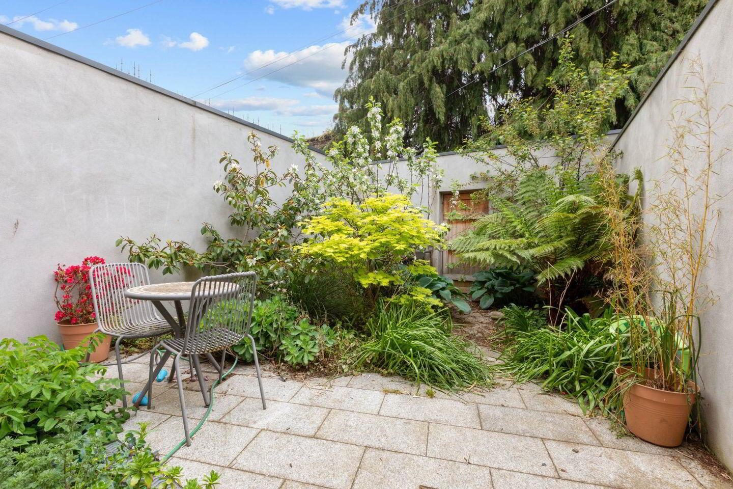 23 Geraldine Street 12 of 13