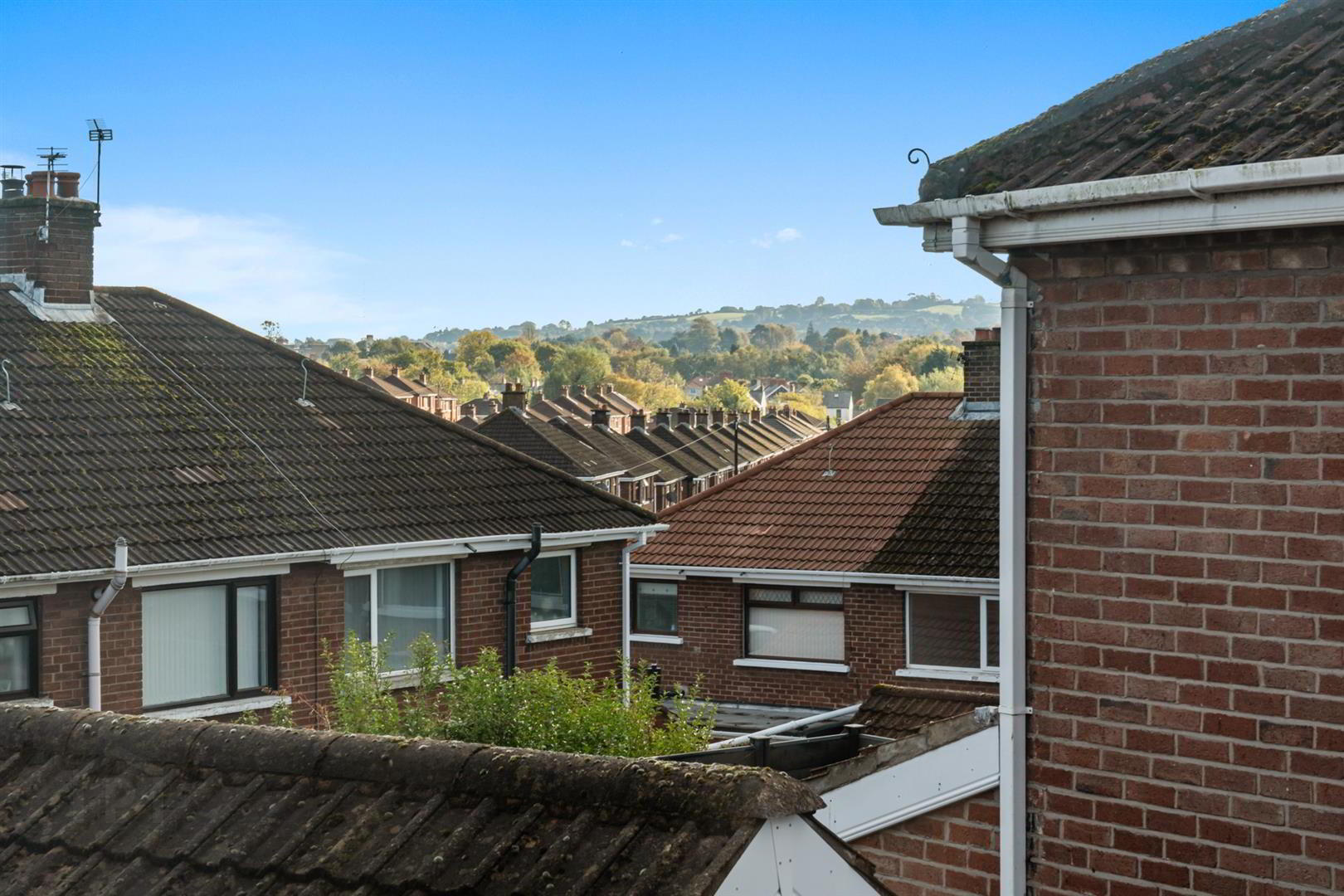 56 Orangefield Gardens 29 of 30