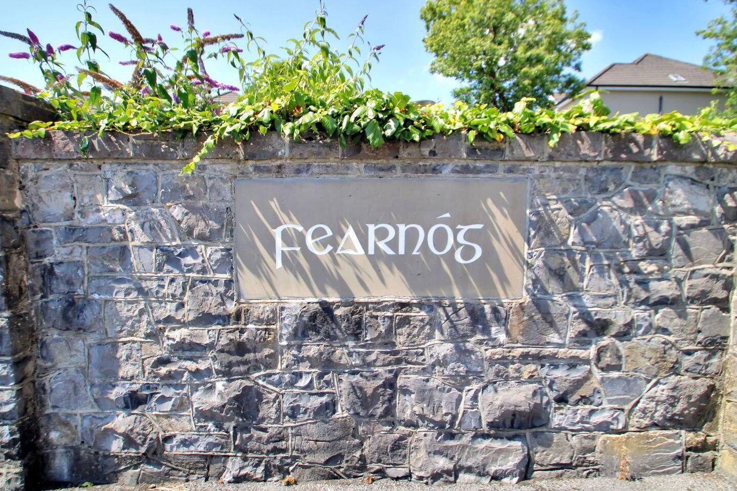 33 Fearnog 17 of 18