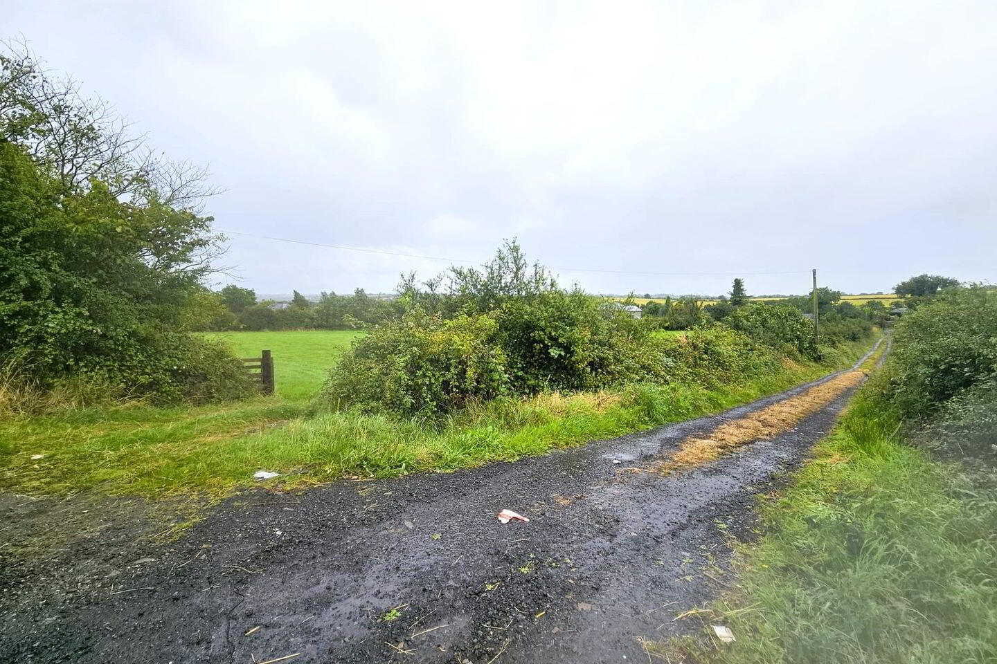Rathescar 3 of 8