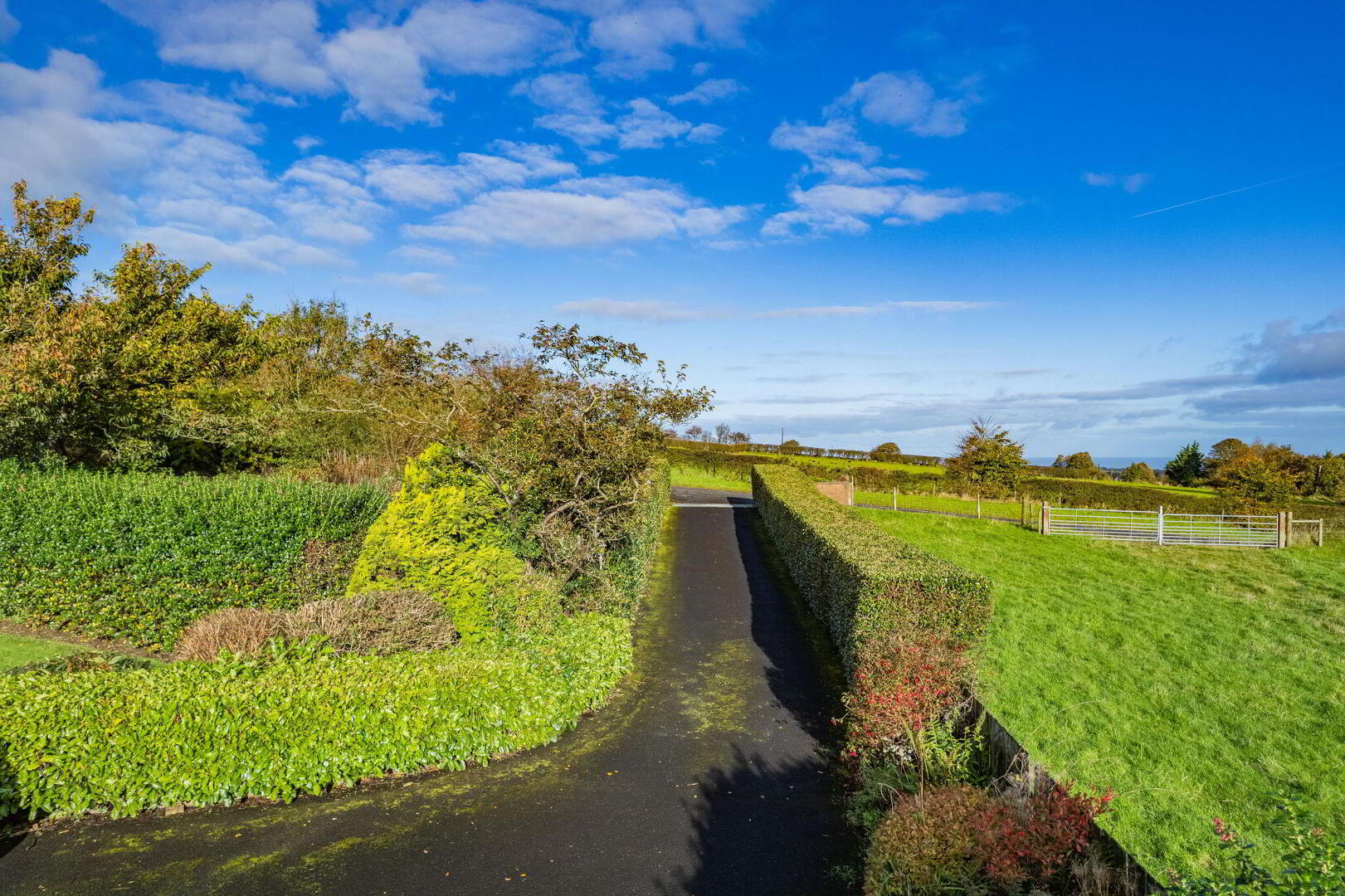 'Blueberry House', 219 Windyhill Road 3 of 71
