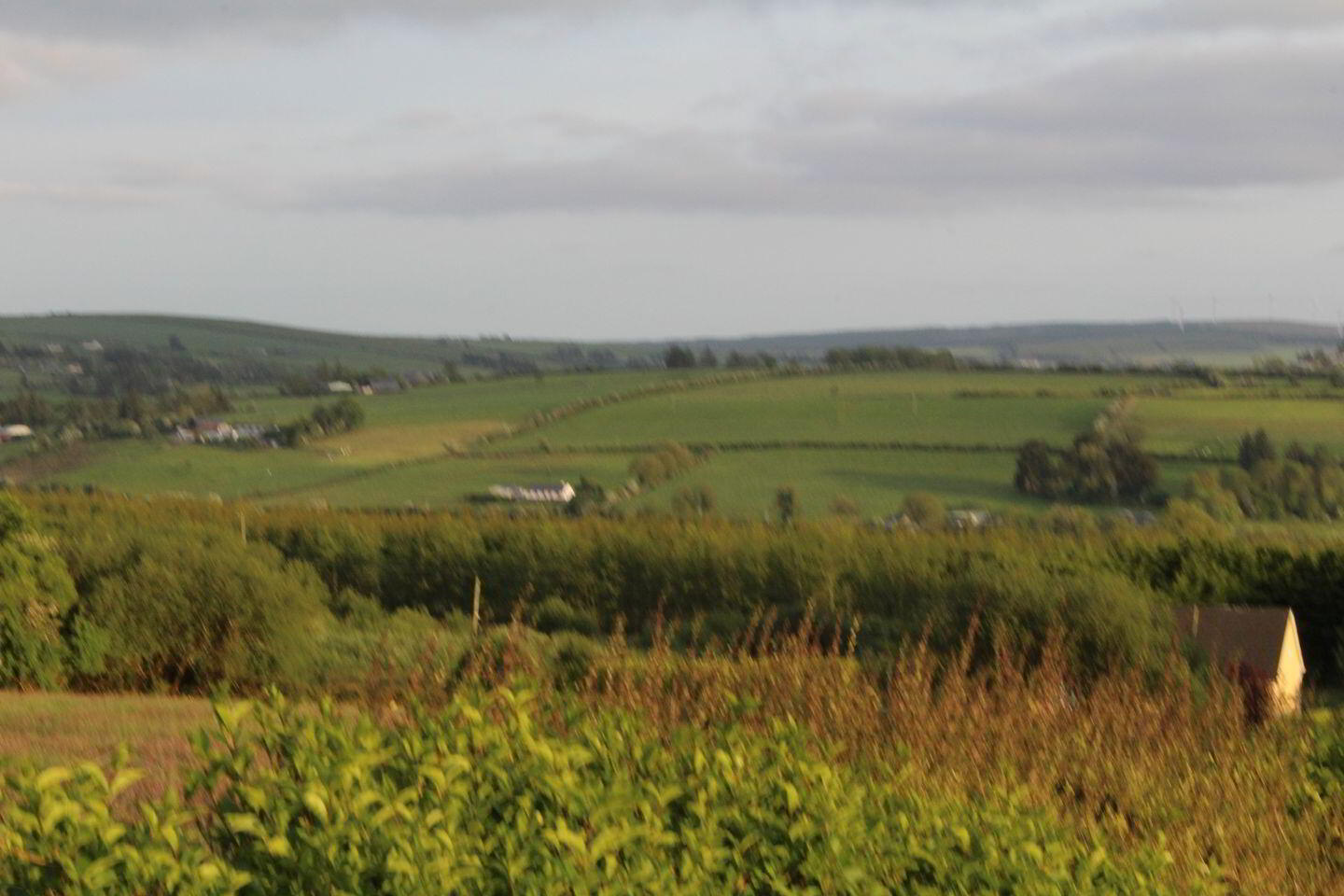 Caherlane 11 of 11
